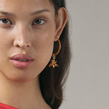 Small Crescent Earring & Brooch