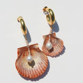 Orange Shells