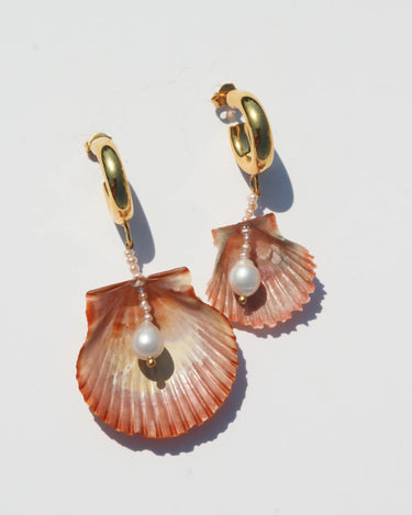 Orange Shells