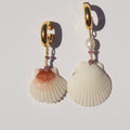 White Shells