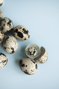 Perlmutte Dalmatian Jasper Ring