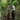 We have been working with Tomas for 10 years to develop this material. But beyond improving the process together, he teaches us the importance of developing a connection with the forest. 