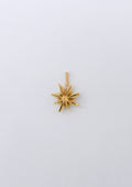 Star Anise Charm