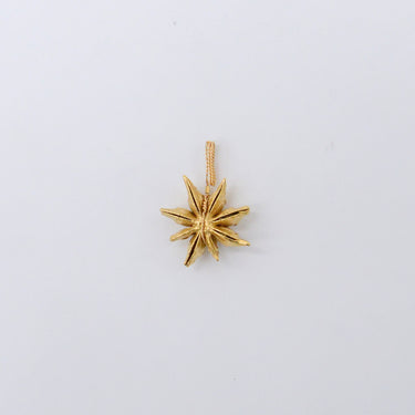 Star Anise Charm
